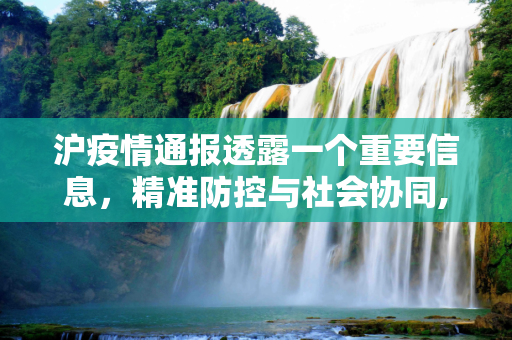沪疫情通报透露一个重要信息，精准防控与社会协同,沪疫情通报透露一个重要信息
