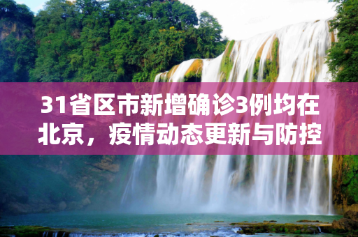31省区市新增确诊3例均在北京，疫情动态更新与防控措施,31省区市新增确诊3例均在北京