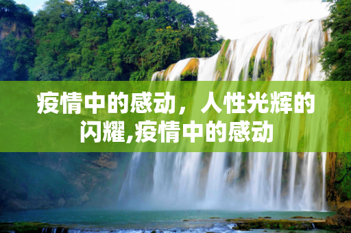 疫情中的感动，人性光辉的闪耀,疫情中的感动