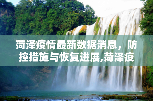 菏泽疫情最新数据消息，防控措施与恢复进展,菏泽疫情最新数据消息