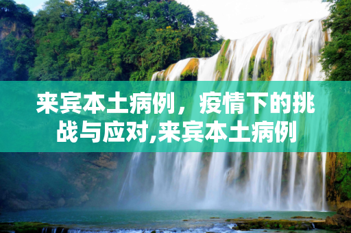 来宾本土病例，疫情下的挑战与应对,来宾本土病例