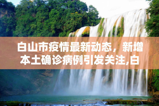 白山市疫情最新动态，新增本土确诊病例引发关注,白山新增本土确诊