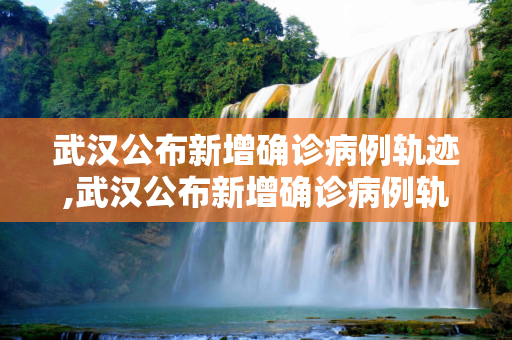 武汉公布新增确诊病例轨迹,武汉公布新增确诊病例轨迹