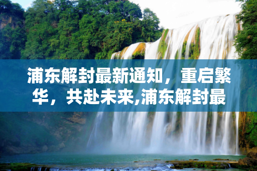 浦东解封最新通知，重启繁华，共赴未来,浦东解封最新通知