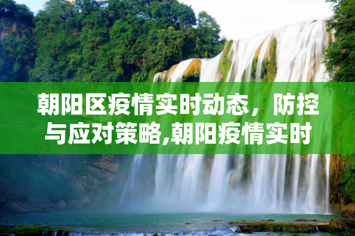 朝阳区疫情实时动态，防控与应对策略,朝阳疫情实时动态
