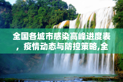 全国各城市感染高峰进度表，疫情动态与防控策略,全国各城市感染高峰进度表