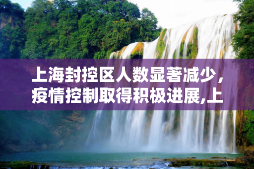 上海封控区人数显著减少，疫情控制取得积极进展,上海封控区人数明显下降