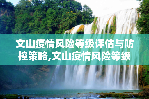文山疫情风险等级评估与防控策略,文山疫情风险等级