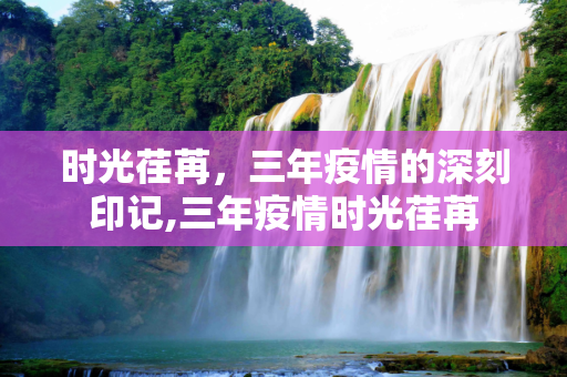 时光荏苒，三年疫情的深刻印记,三年疫情时光荏苒