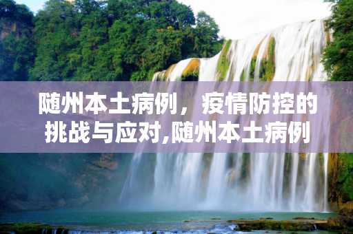 随州本土病例，疫情防控的挑战与应对,随州本土病例