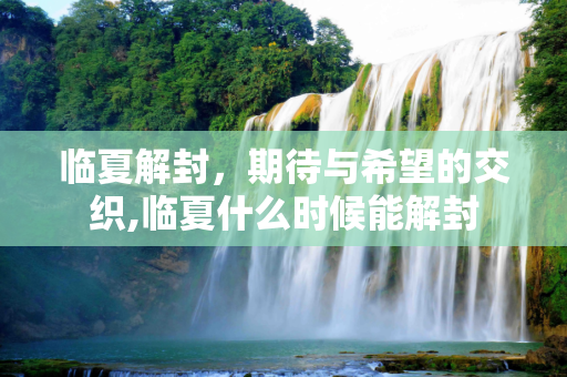 临夏解封，期待与希望的交织,临夏什么时候能解封