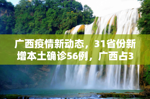广西疫情新动态，31省份新增本土确诊56例，广西占33例,31省份新增本土确诊56例 广西33例