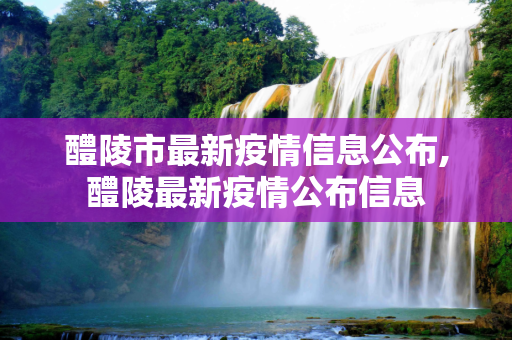 醴陵市最新疫情信息公布,醴陵最新疫情公布信息