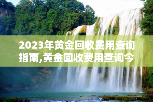 2023年黄金回收费用查询指南,黄金回收费用查询今日2023