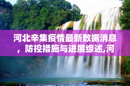 河北辛集疫情最新数据消息，防控措施与进展综述,河北辛集疫情最新数据消息