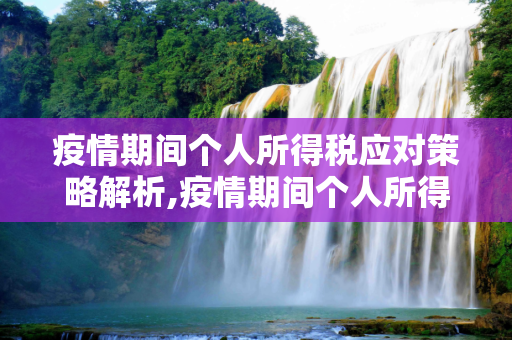 疫情期间个人所得税应对策略解析,疫情期间个人所得税应对策略解析