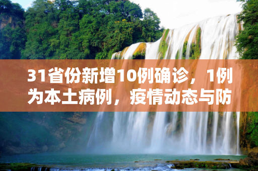 31省份新增10例确诊，1例为本土病例，疫情动态与防控措施,31省份新增10例确诊1例为本土病例