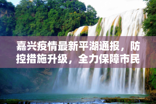 嘉兴疫情最新平湖通报，防控措施升级，全力保障市民健康,嘉兴疫情最新平湖通报