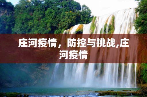 庄河疫情，防控与挑战,庄河疫情