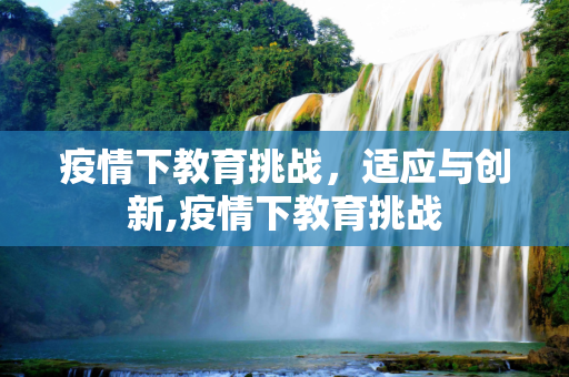 疫情下教育挑战，适应与创新,疫情下教育挑战