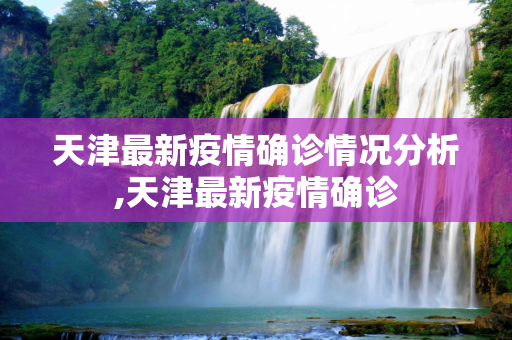 天津最新疫情确诊情况分析,天津最新疫情确诊