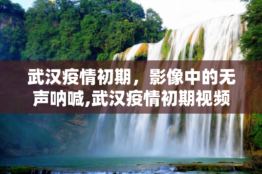 武汉疫情初期，影像中的无声呐喊,武汉疫情初期视频