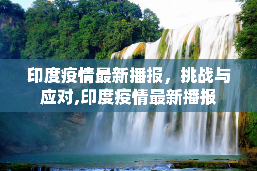 印度疫情最新播报，挑战与应对,印度疫情最新播报