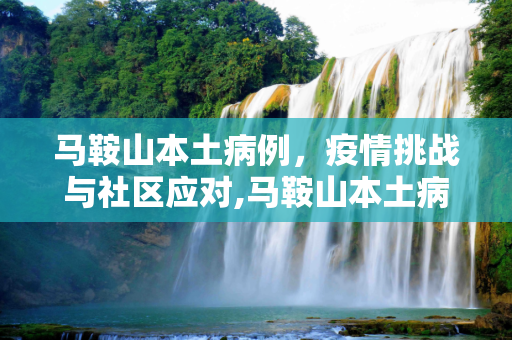 马鞍山本土病例，疫情挑战与社区应对,马鞍山本土病例