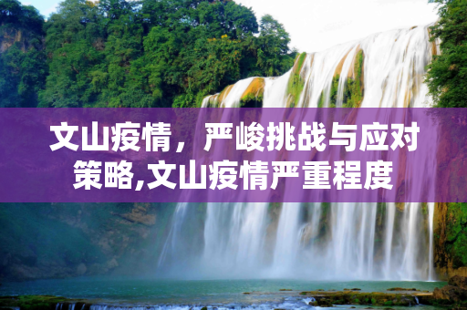 文山疫情，严峻挑战与应对策略,文山疫情严重程度
