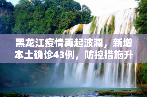 黑龙江疫情再起波澜，新增本土确诊43例，防控措施升级,黑龙江新增本土确诊43例