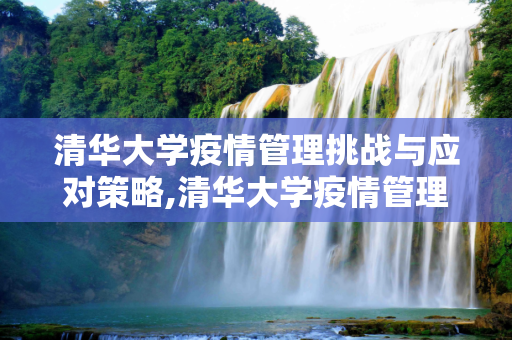 清华大学疫情管理挑战与应对策略,清华大学疫情管理挑战与应对策略