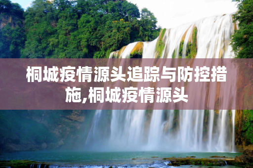 桐城疫情源头追踪与防控措施,桐城疫情源头