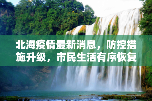 北海疫情最新消息，防控措施升级，市民生活有序恢复,北海疫情最新消息
