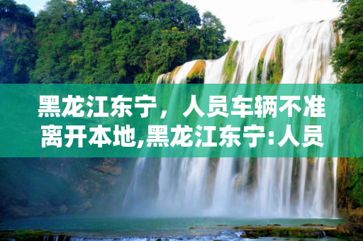 黑龙江东宁，人员车辆不准离开本地,黑龙江东宁:人员车辆不准离开本地