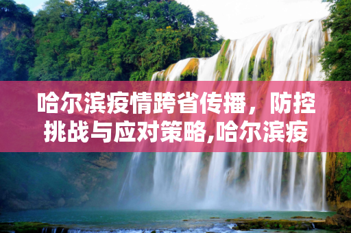 哈尔滨疫情跨省传播，防控挑战与应对策略,哈尔滨疫情跨省传播