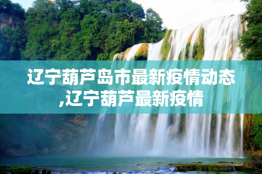辽宁葫芦岛市最新疫情动态,辽宁葫芦最新疫情