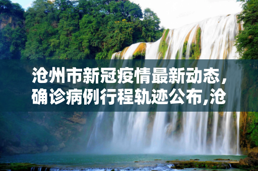 沧州市新冠疫情最新动态，确诊病例行程轨迹公布,沧州确诊病例行程轨迹