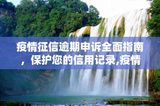 疫情征信逾期申诉全面指南，保护您的信用记录,疫情征信逾期申诉全面指南