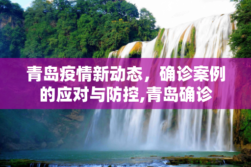 青岛疫情新动态，确诊案例的应对与防控,青岛确诊