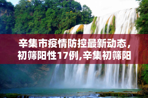 辛集市疫情防控最新动态，初筛阳性17例,辛集初筛阳性17例