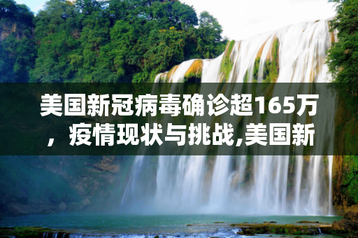 美国新冠病毒确诊超165万，疫情现状与挑战,美国新冠病毒确诊超165万