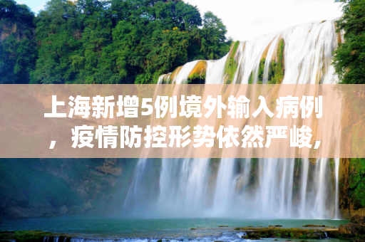 上海新增5例境外输入病例，疫情防控形势依然严峻,上海新增5例境外输入