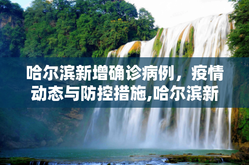 哈尔滨新增确诊病例，疫情动态与防控措施,哈尔滨新增确诊病例