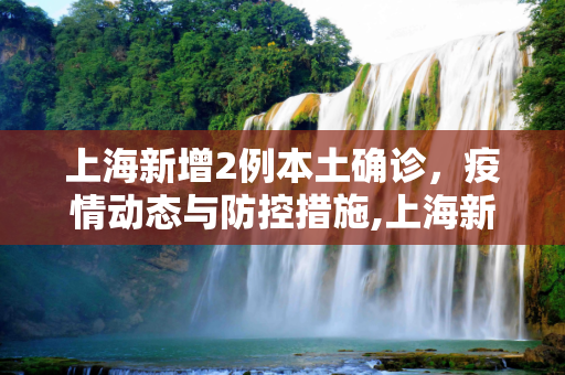 上海新增2例本土确诊，疫情动态与防控措施,上海新增2例本土确诊的简单介绍