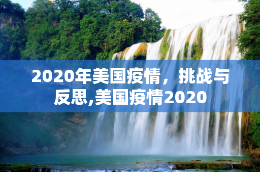 2020年美国疫情，挑战与反思,美国疫情2020