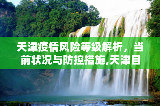 天津疫情风险等级解析，当前状况与防控措施,天津目前是什么风险地区