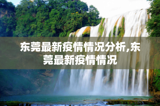 东莞最新疫情情况分析,东莞最新疫情情况