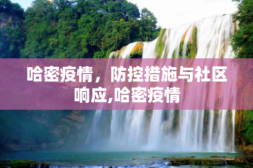 哈密疫情，防控措施与社区响应,哈密疫情