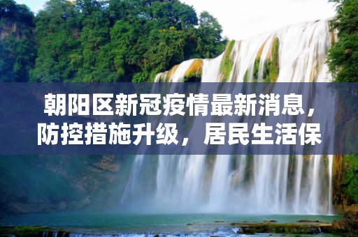 朝阳区新冠疫情最新消息，防控措施升级，居民生活保障加强,朝阳区新冠疫情最新消息