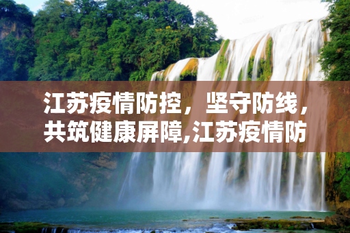 江苏疫情防控，坚守防线，共筑健康屏障,江苏疫情防控